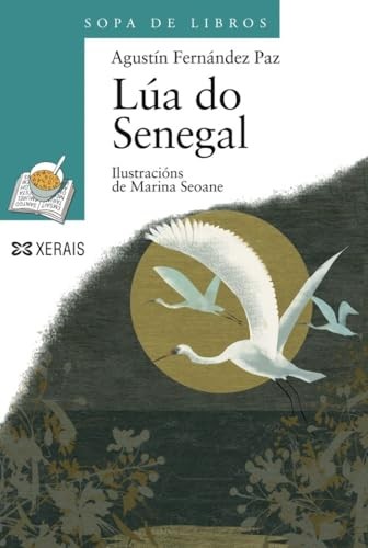 Cubierta de Lúa do Senegal (INFANTIL E XUVENIL - SOPA DE LIBROS - De 10 anos en diante)